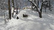 Левски